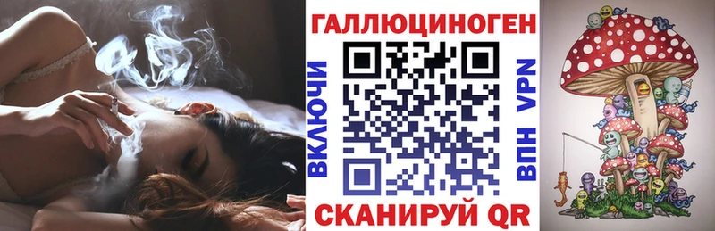 Псилоцибиновые грибы GOLDEN TEACHER Астрахань
